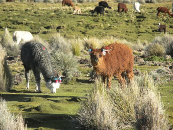 What are you looking at?