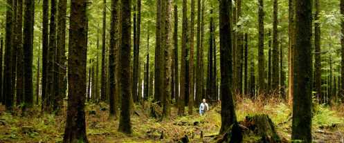 Visualizing Mindfunk